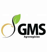 GMS Agronegócios